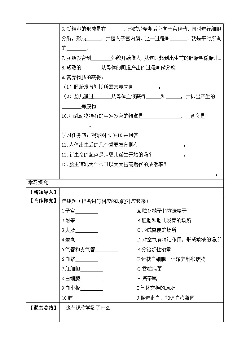 济南版 初中生物 八年级上册 4.3.1 婴儿的诞生 学案（含答案）02