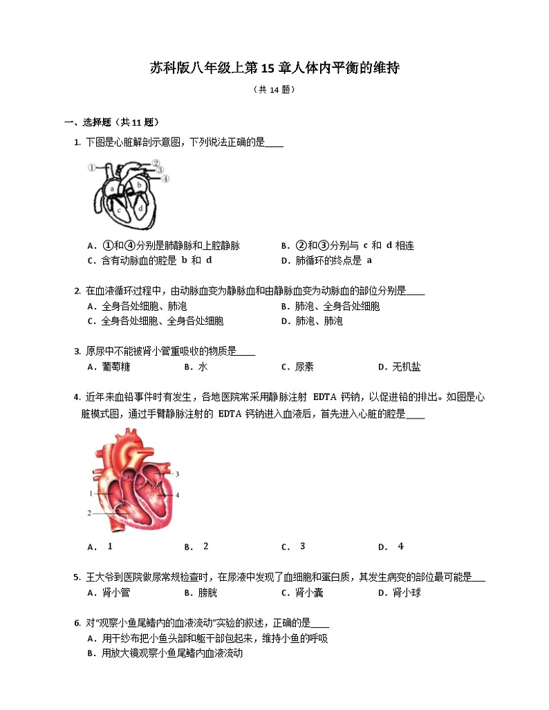 【苏科版】生物八年级上册 6.15人体内平衡的维持同步练习（含答案）01