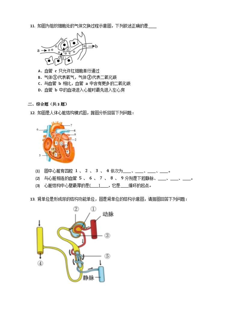 【苏科版】生物八年级上册 6.15人体内平衡的维持同步练习（含答案）03