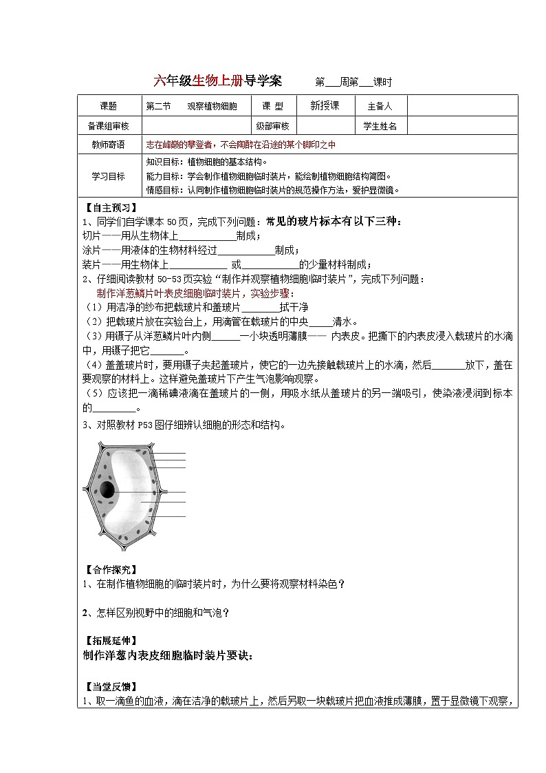 鲁科版（五四学制）初中生物 六年级上册2.1.2观察植物细胞导学案（无答案）第1页
