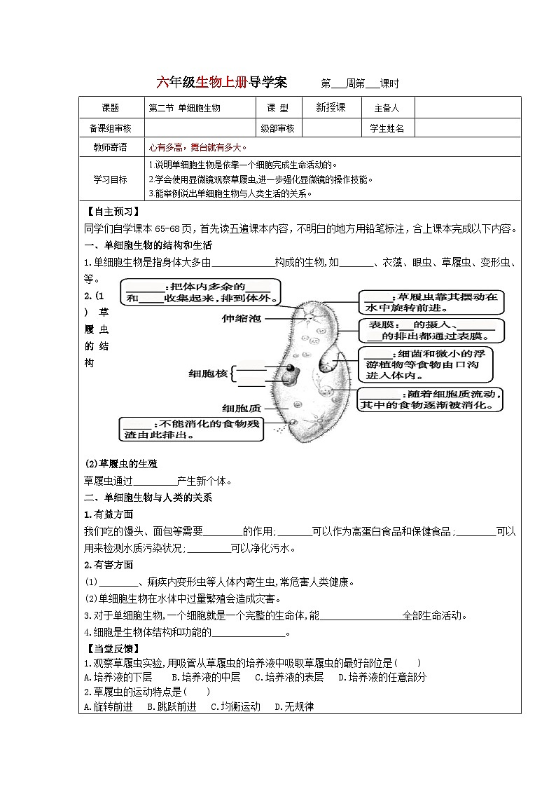 鲁科版（五四学制）初中生物 六年级上册第二节 单细胞生物导学案（无答案）第1页