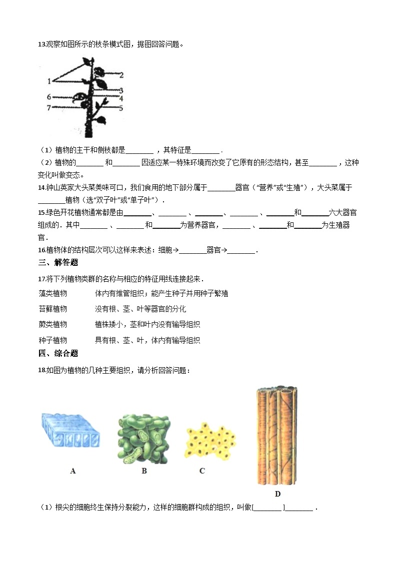 鲁科版（五四学制）初中生物 六年级上册 2.3.3 植物体的结构层次 同步测试（含解析）02