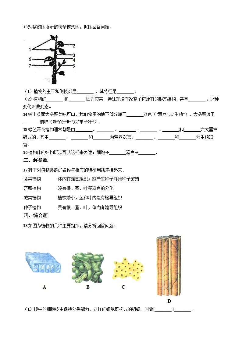 鲁科版（五四学制）初中生物 六年级上册 2.3.3 植物体的结构层次 同步测试（含解析）02