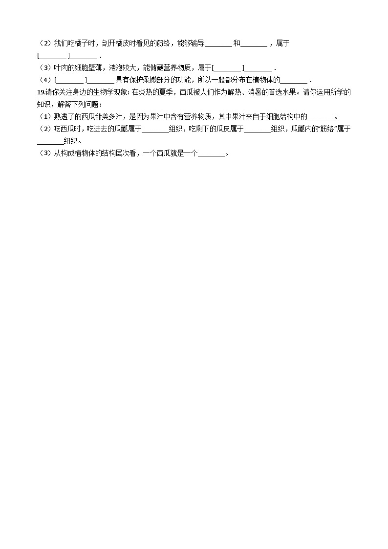 鲁科版（五四学制）初中生物 六年级上册 2.3.3 植物体的结构层次 同步测试（含解析）03
