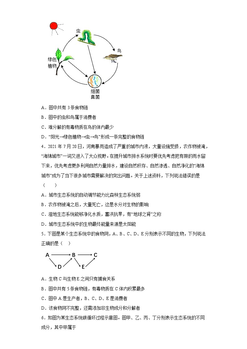 苏科版 初中生物 七年级上册 第6章 生物之间的食物关系 章节训练（含答案）第2页