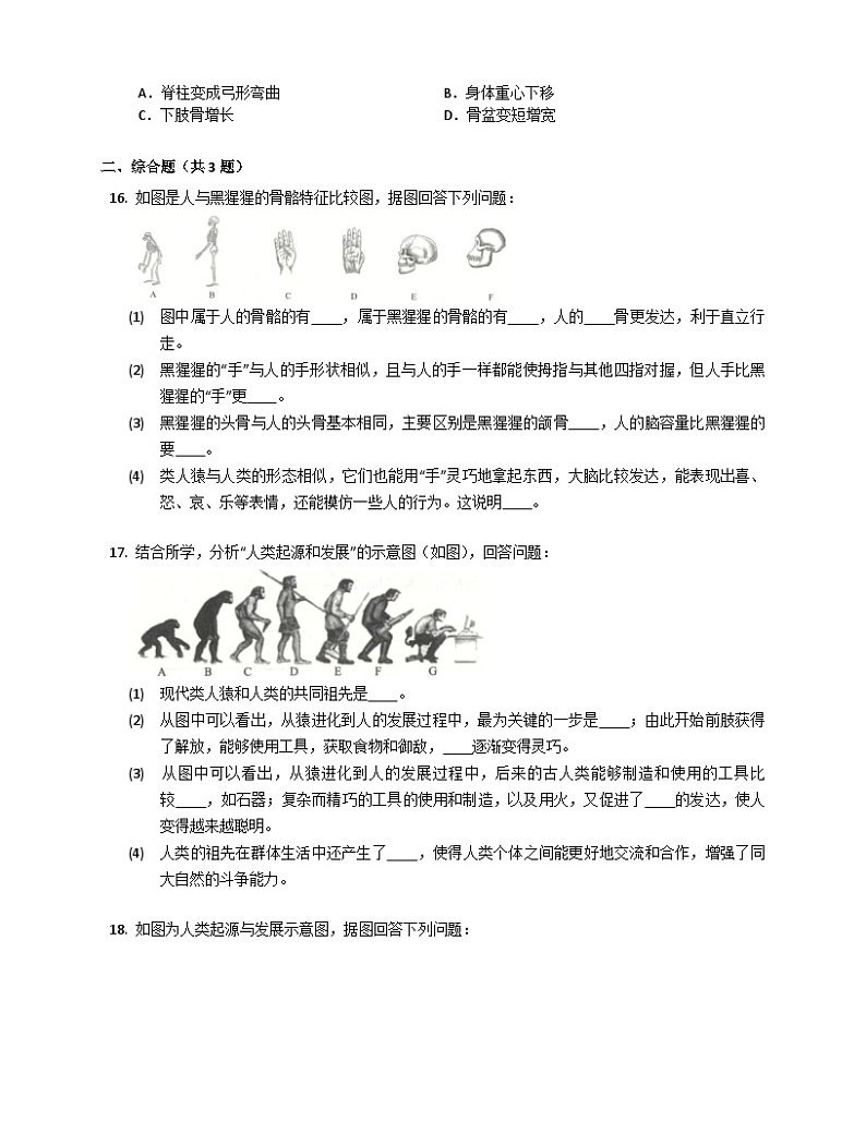 鲁科版（五四学制） 初中生物 七年级上册 4.1.1人类的起源和发展练习（含答案）03