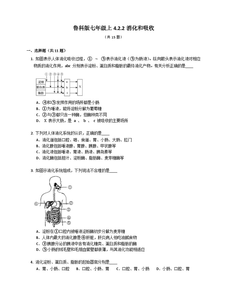 鲁科版（五四学制） 初中生物 七年级上册 4.2.2消化和吸收同步练习（含答案）第1页