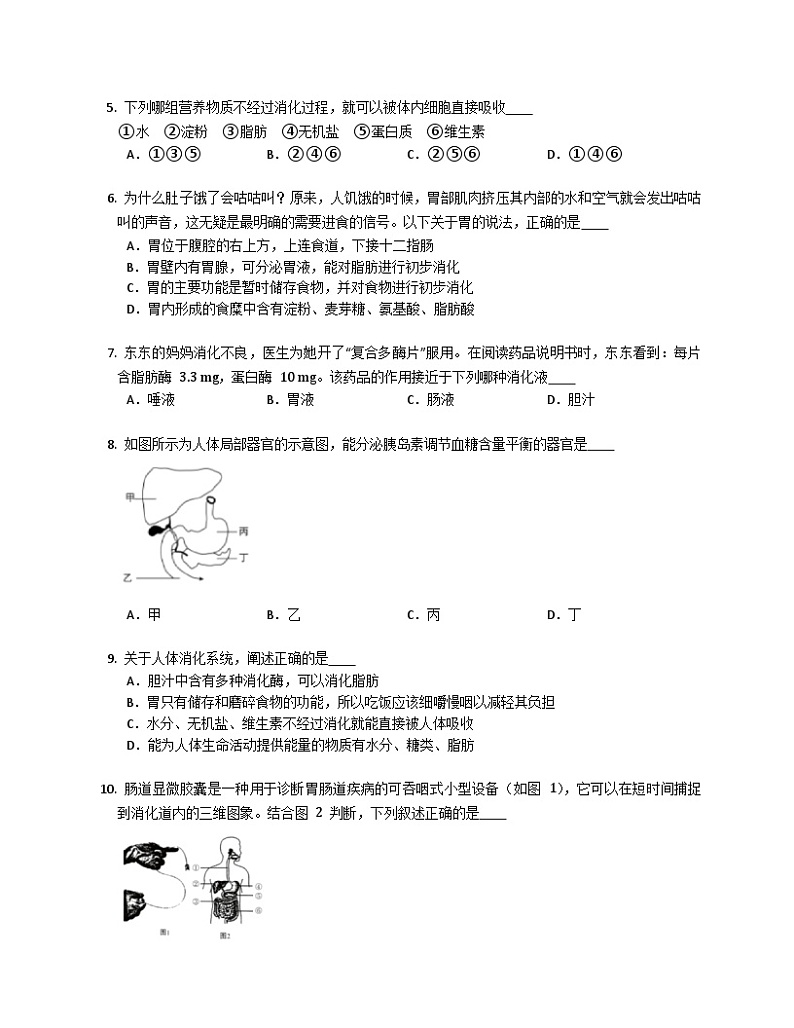 鲁科版（五四学制） 初中生物 七年级上册 4.2.2消化和吸收同步练习（含答案）第2页