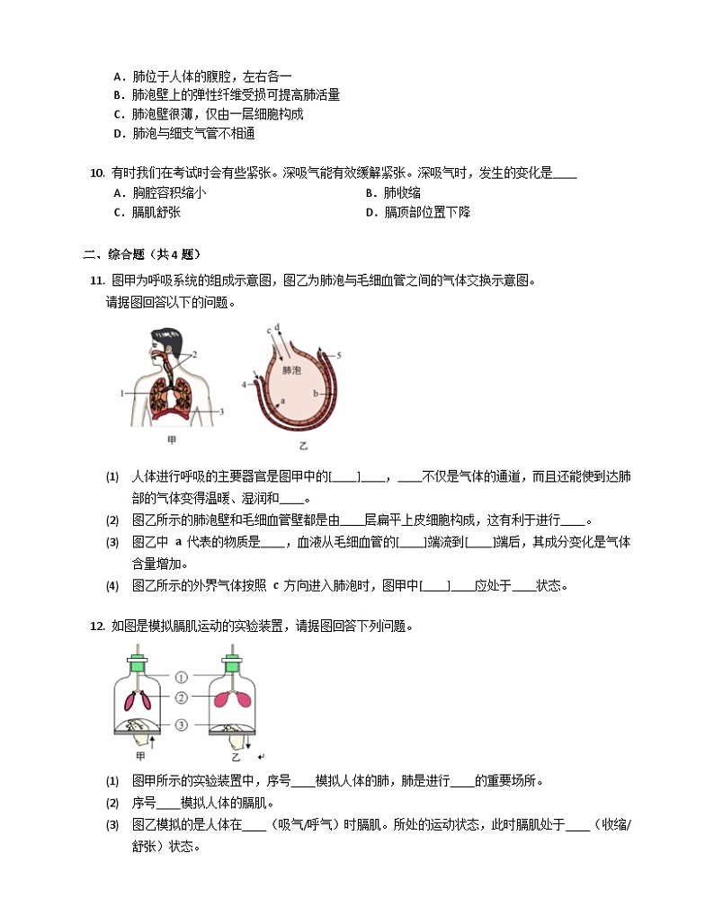 鲁科版（五四学制） 初中生物 七年级上册 4.3.2发生在肺内的气体交换同步练习（含答案）03