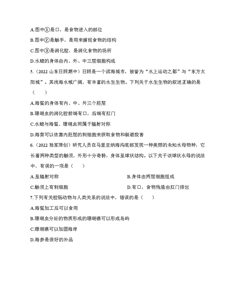 鲁科版（五四学制） 初中生物 八年级上册  7.1.1腔肠动物和扁形动物同步练习（含解析）02