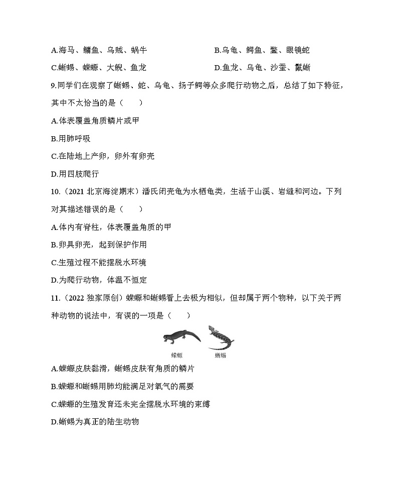 鲁科版（五四学制） 初中生物 八年级上册  7.1.5两栖类和爬行类同步练习（含解析）第3页