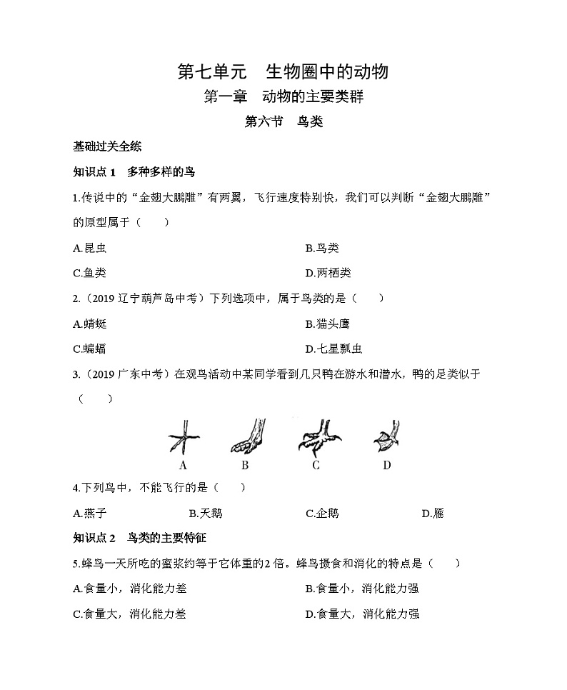 鲁科版（五四学制） 初中生物 八年级上册  7.1.6鸟类同步练习（含解析）01