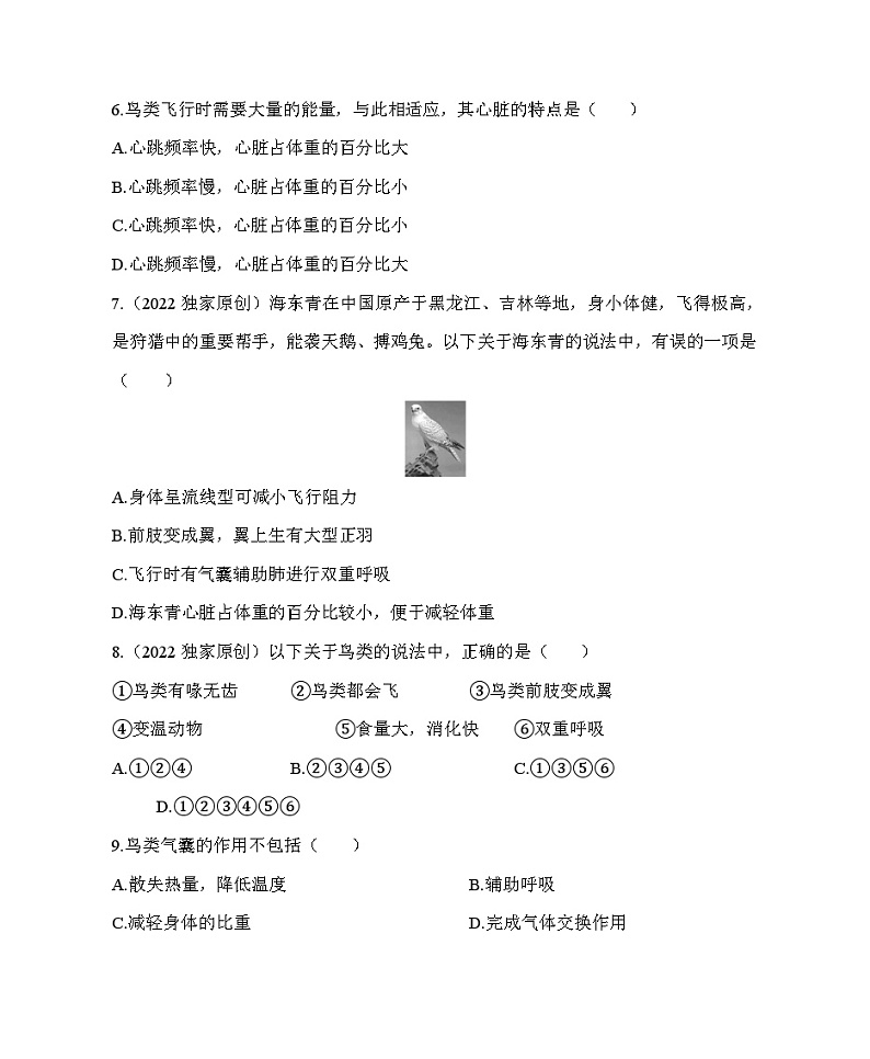 鲁科版（五四学制） 初中生物 八年级上册  7.1.6鸟类同步练习（含解析）02