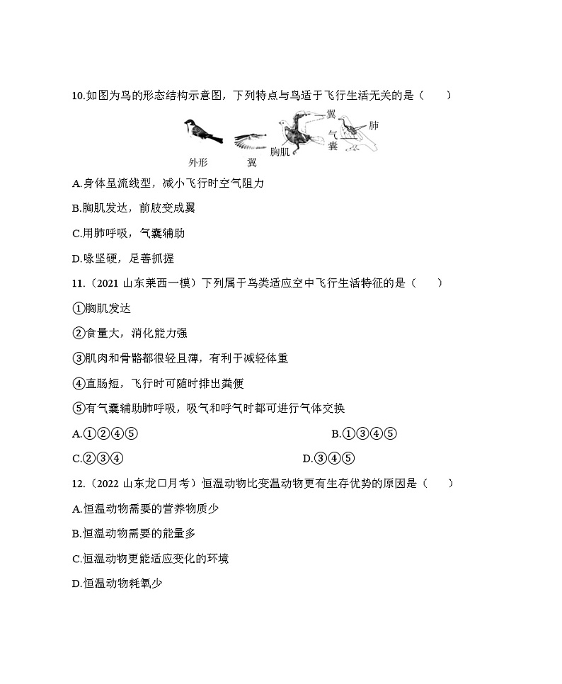 鲁科版（五四学制） 初中生物 八年级上册  7.1.6鸟类同步练习（含解析）03