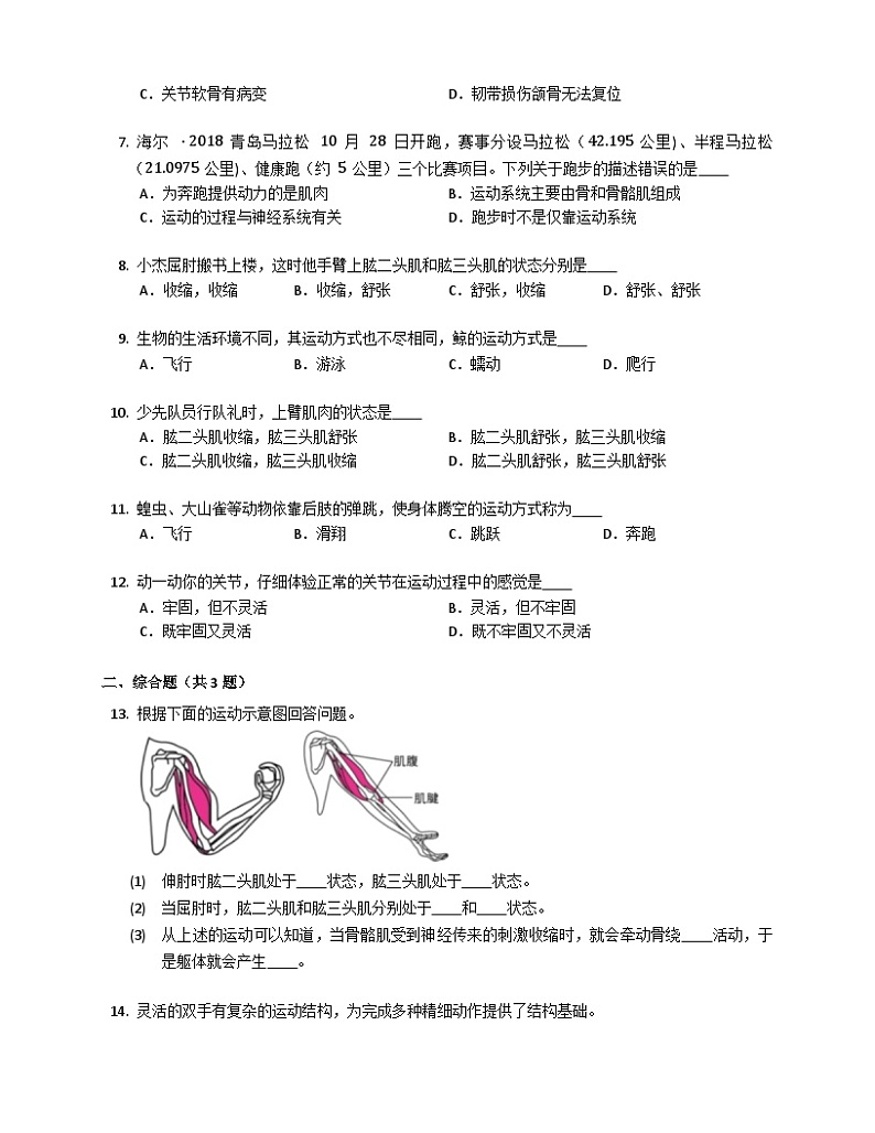 鲁科版（五四学制） 初中生物 八年级上册  7.2.1动物的运动练习（含解析）鲁科版八年级上02
