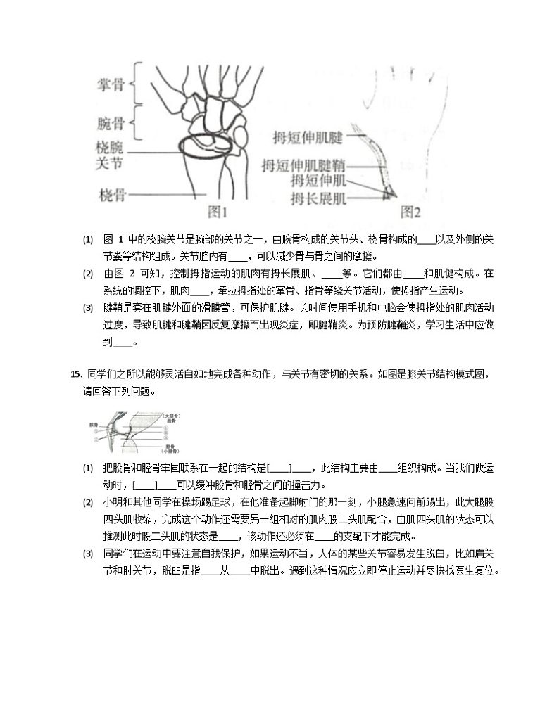鲁科版（五四学制） 初中生物 八年级上册  7.2.1动物的运动练习（含解析）鲁科版八年级上03