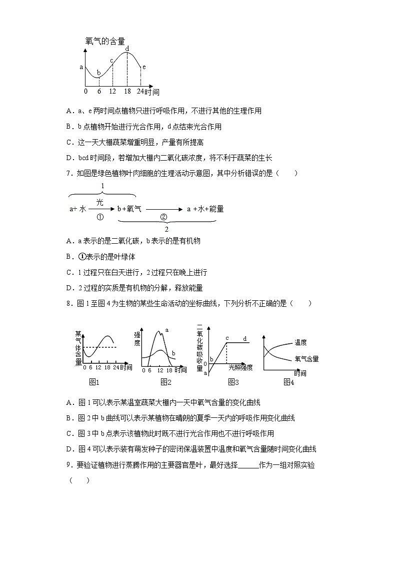 冀少版 八年级生物上册 第三单元 第四章 呼吸作用和蒸腾作用 精品练习  (word版含答案）02