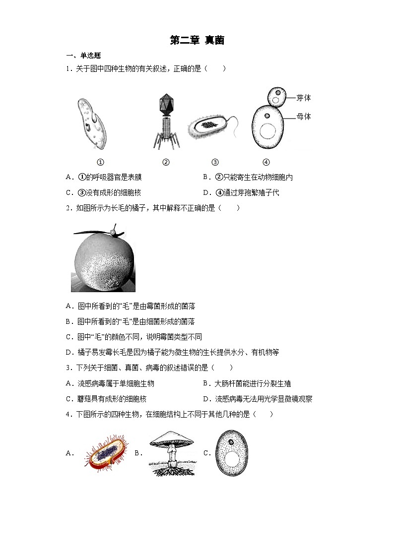 冀少版 八年级生物上册 第五单元 第二章 真菌 提升练习（word版 含解析）01