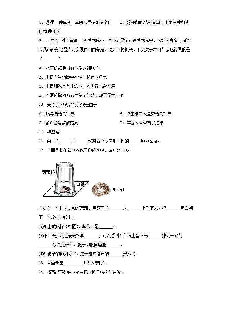 冀少版 八年级生物上册 第五单元 第二章 真菌 提升练习（word版 含解析）03