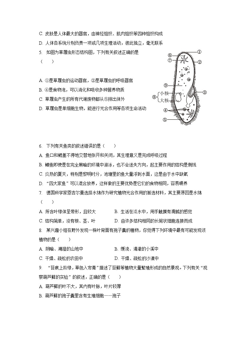 2022-2023学年江苏省连云港市东海县七年级（下）期末生物试卷（含解析）第2页