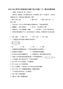 2022-2023学年江西省吉安市新干县七年级（下）期末生物试卷（含解析）