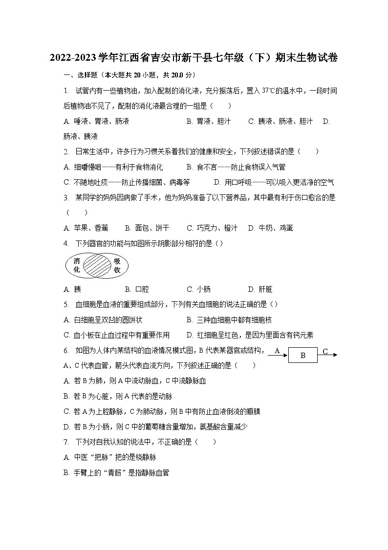 2022-2023学年江西省吉安市新干县七年级（下）期末生物试卷（含解析）01