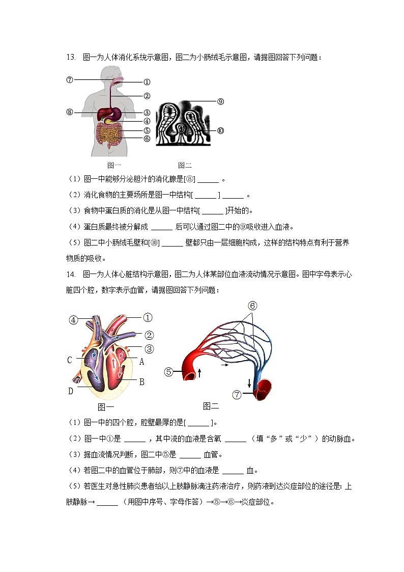 2022-2023学年辽宁省抚顺市东洲区七年级（下）期末生物试卷（含解析）03