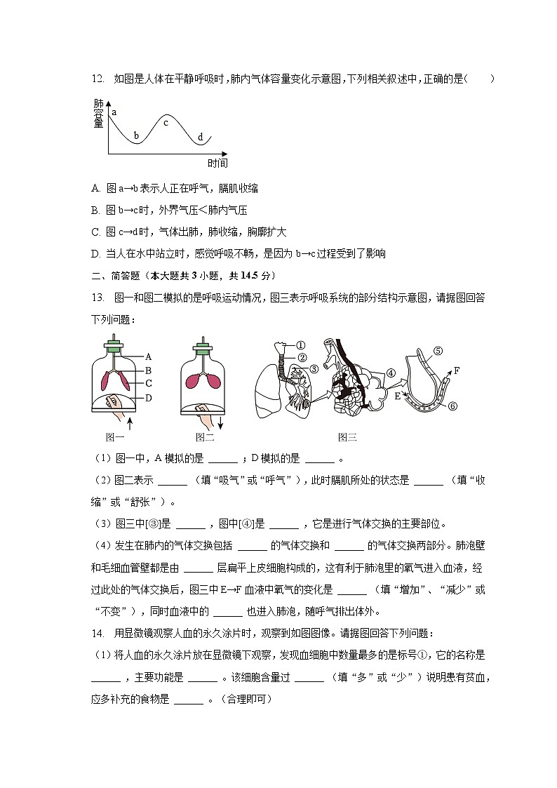 2022-2023学年辽宁省葫芦岛市连山区七年级（下）期中生物试卷（含解析）03