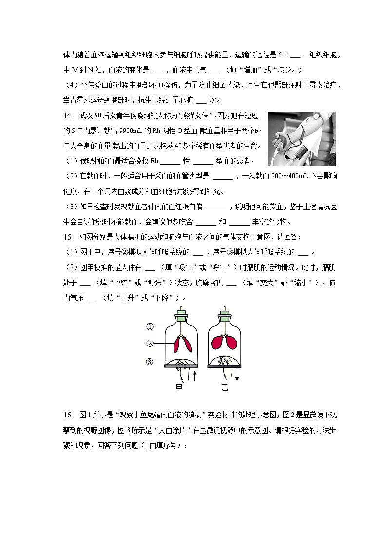 2022-2023学年辽宁省铁岭市部分学校七年级（下）期中生物试卷（含解析）03