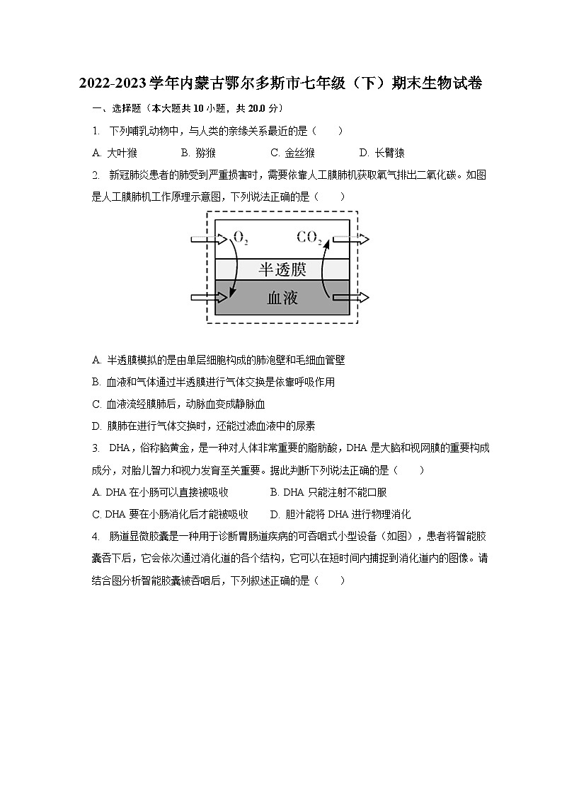 2022-2023学年内蒙古鄂尔多斯市七年级（下）期末生物试卷（含解析）01