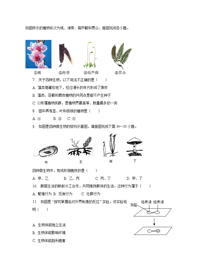 2022-2023学年江苏省淮安市淮阴区七年级（下）期末生物试卷（含解析）第2页
