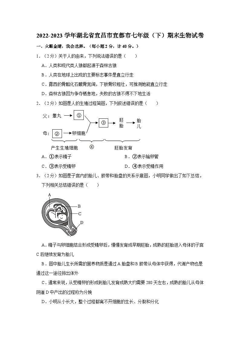 2022-2023学年湖北省宜昌市宜都市七年级下学期期末生物试卷（含解析）第1页