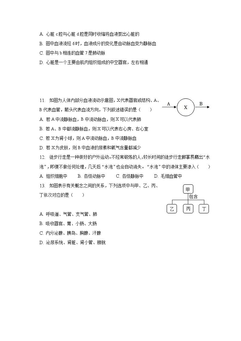 2022-2023学年湖南省张家界市永定区七年级（下）期末生物试卷（含解析）03