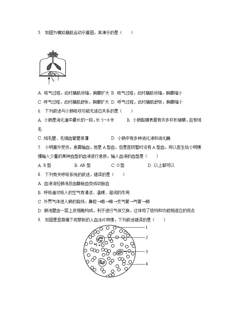 2022-2023学年江西省宜春市高安市七年级（下）期末生物试卷（含解析）02