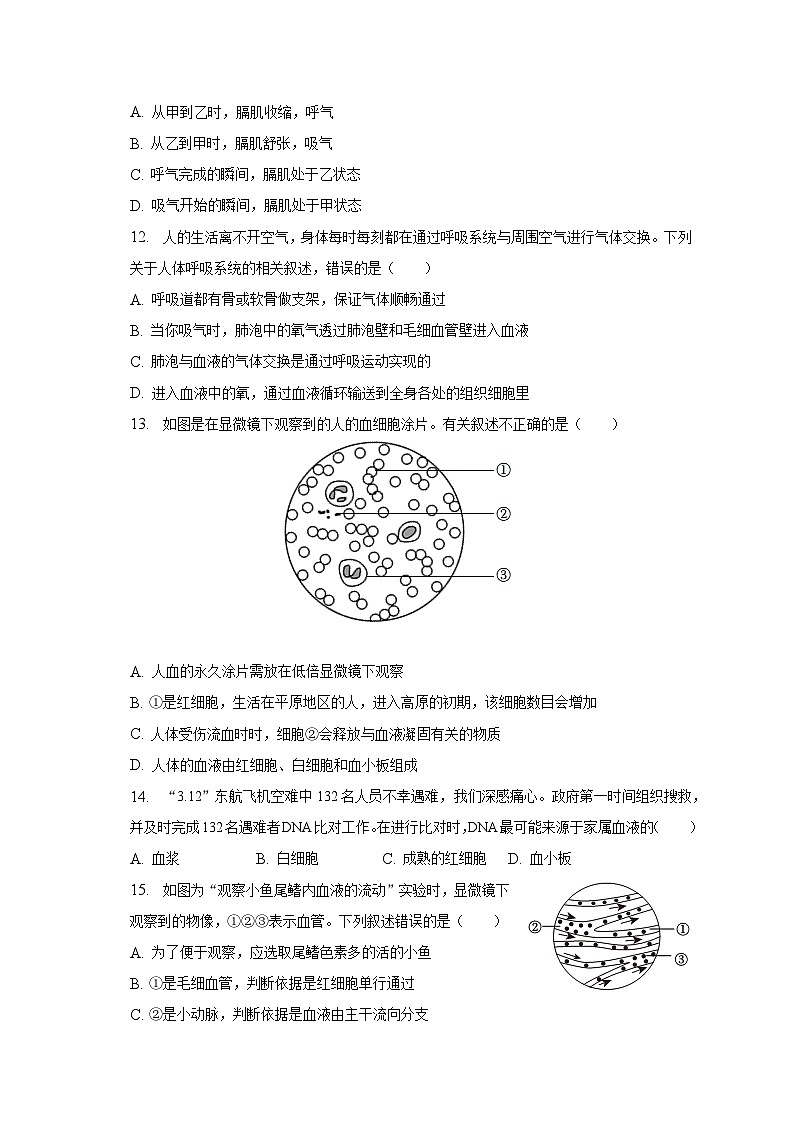 2022-2023学年湖南省娄底市双峰县七年级（下）期末生物试卷（含解析）第3页