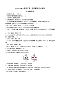 甘肃省武威第九中学、十中、二十六中、新起点学校2022-2023学年七年级下学期期末生物试题（含答案）