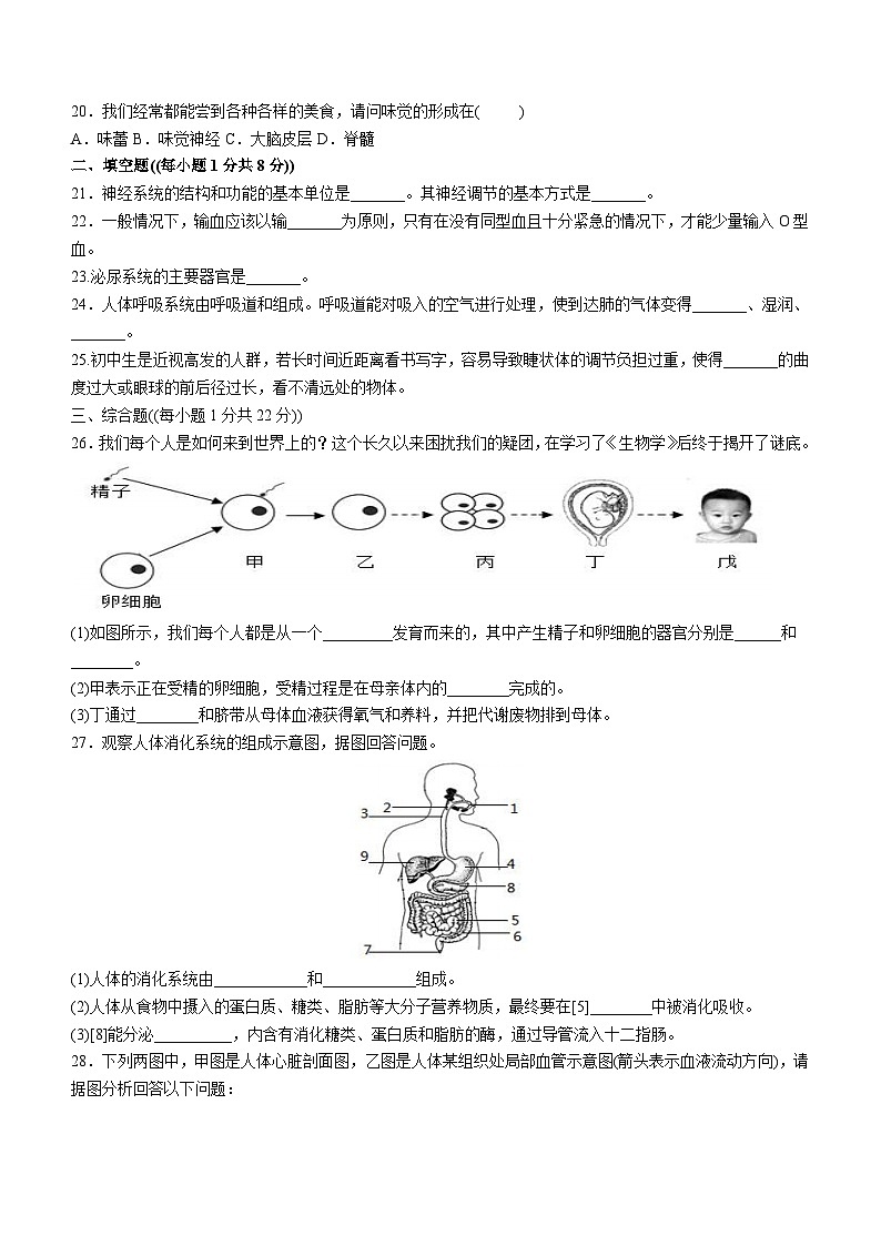 甘肃省武威第九中学、十中、二十六中、新起点学校2022-2023学年七年级下学期期末生物试题（含答案）03