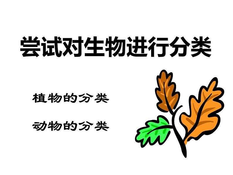 人教版八年级生物上册--1.1　尝试对生物进行分类（精品课件）01