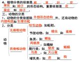 人教版八年级生物上册--1.1　尝试对生物进行分类（精品课件）
