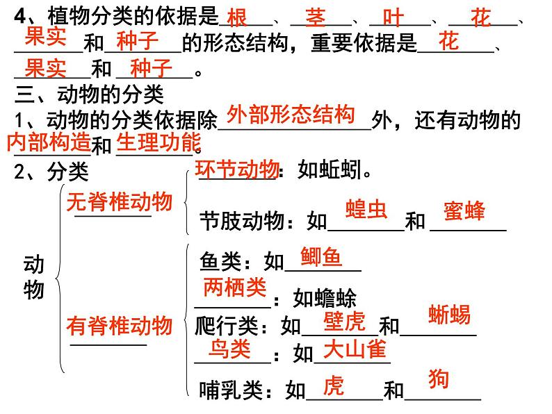 人教版八年级生物上册--1.1　尝试对生物进行分类（精品课件）04