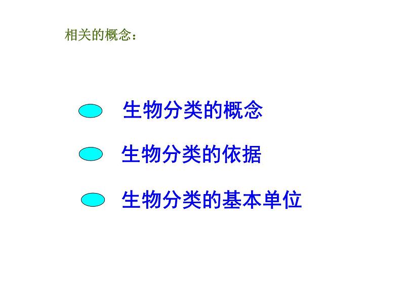 人教版八年级生物上册--1.1　尝试对生物进行分类（精品课件）07