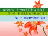 人教版八年级生物上册--1.1尝试对生物进行分类1（精品课件）