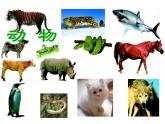 人教版八年级生物上册--1.2　从种到界（精品课件）