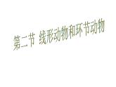 人教版八年级生物上册--1.2　线形动物和环节动物（精品课件）