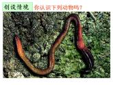 人教版八年级生物上册--1.2　线形动物和环节动物（精品课件）