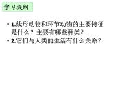 人教版八年级生物上册--1.2　线形动物和环节动物（精品课件）