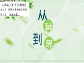 人教版八年级生物上册--1.2从种到界（精品课件）