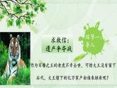 人教版八年级生物上册--1.2从种到界（精品课件）
