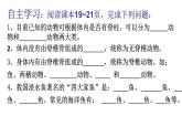 人教版八年级生物上册--1.4　鱼（精品课件）