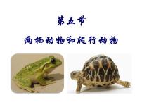 初中生物第五节 两栖动物和爬行动物背景图课件ppt